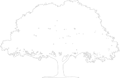 pictogramme-arbre